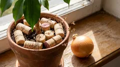 Muchy v mojom cibulovom a kvetinovom záhone som zahnal obyčajnou vínnou zátkou (a odporúčam vám, aby ste urobili to isté – funguje to!).